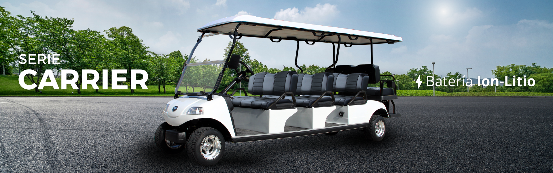 Carritos eléctricos