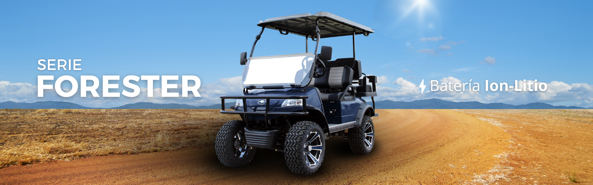 Carritos eléctricos