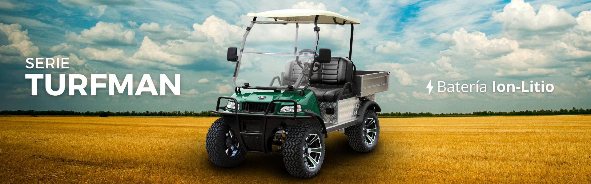 Carritos eléctricos