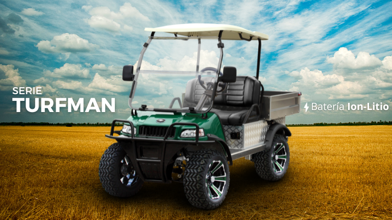 Carritos eléctricos